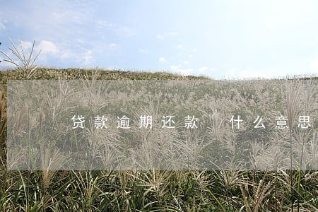 贷款逾期还款 什么意思 贷款逾期还款 什么意思